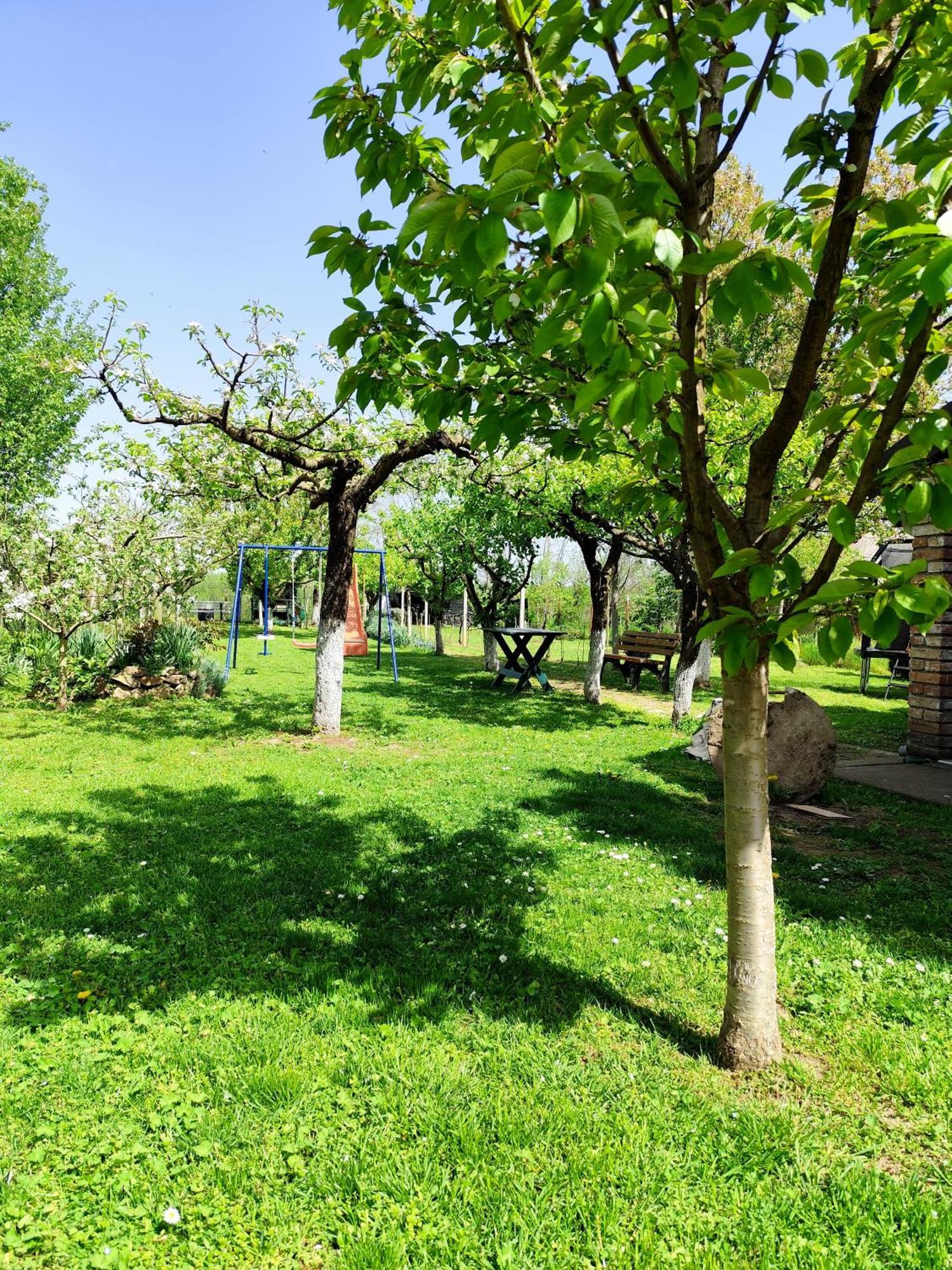Kuca Za Odmor Mirni Kutak Vukovar Exterior foto